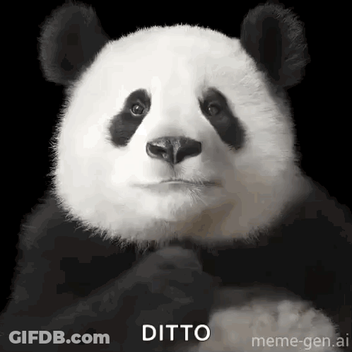 Panda Bear Making Funny Face With Hands Folded GIF
