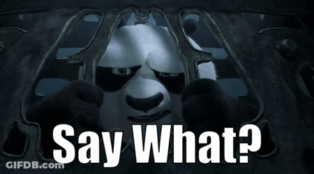 Panda Bear Saying What GIF