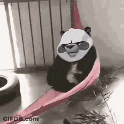 Panda Bear Sitting In Hammock With Pink Blanket GIF