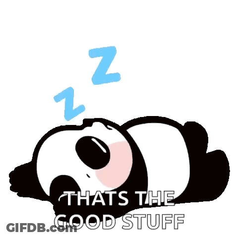 Panda Bear Sleeping Blue Z GIF