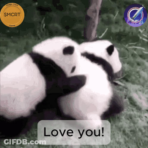 Panda Bear Sleeping Goodnight GIF