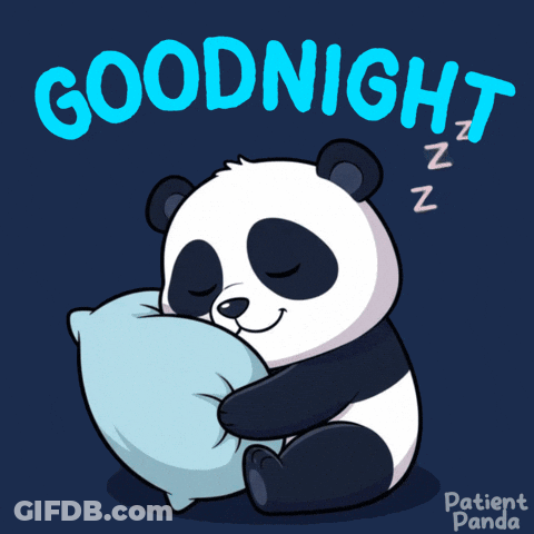 Panda Bear Sleeping On Pillow Goodnight GIF