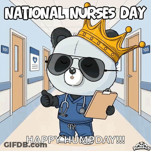 Panda Bear Wearing Crown And Sunglasses Holding Clipboard GIF