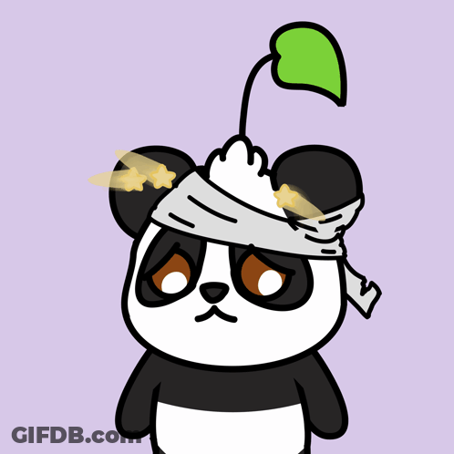 Panda Bear With Bandage On Head GIF