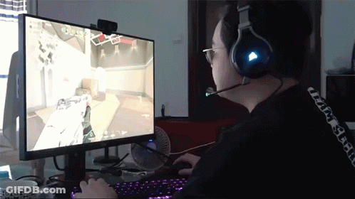 Panda Bear With Man's Face GIF