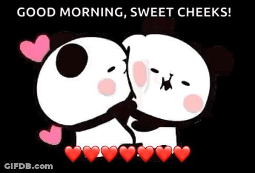 Panda Bears Hugging Good Morning GIF