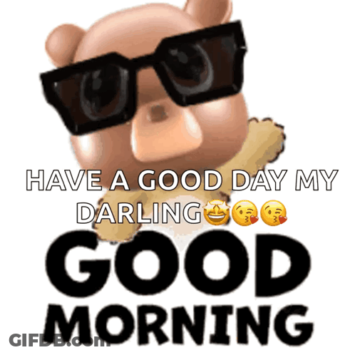 Panda Bears Hugging Good Morning GIF