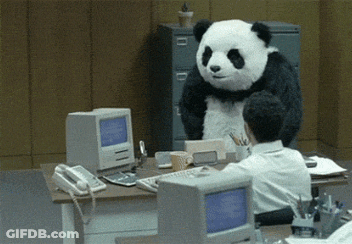 Panda Breaking The Computer GIF