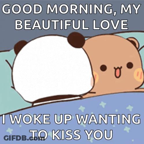 Panda Brown Bear Good Morning My Beautiful Love GIF