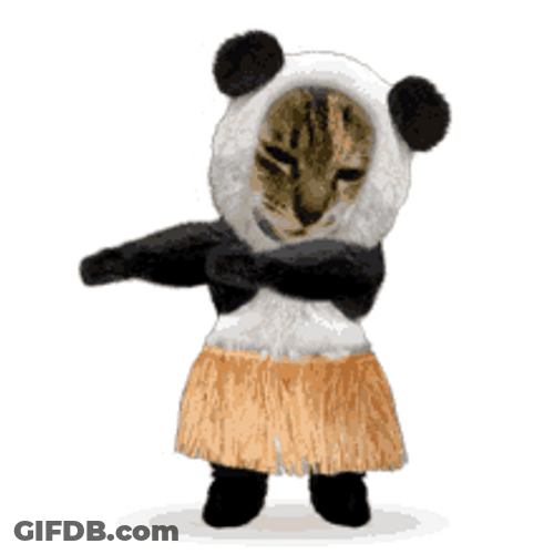 Panda Cat Dance Animation GIF