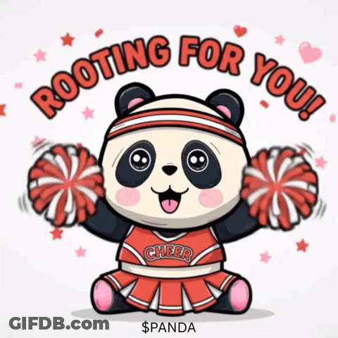 Panda Cheerleader Rooting For You GIF