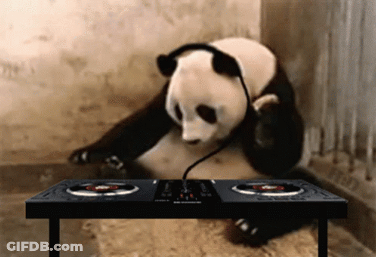 Panda Cool Music DJ GIF