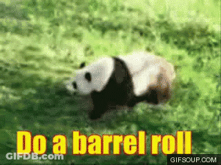 Panda Crawling In Grass Saying Do A Barrel Roll GIF