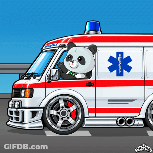 Panda Driving Ambulance National First Responders Day GIF