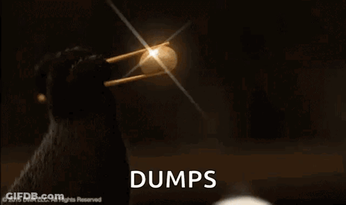 Panda Eating Dumplings With Chopsticks Dumps GIF