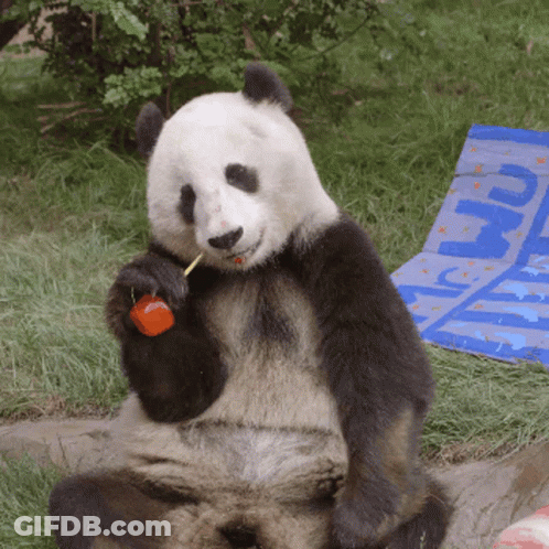 Panda Eating Red Apple With Toothpick GIF