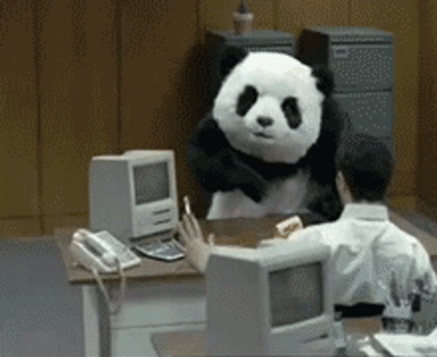 Panda Funny Office Rage GIF