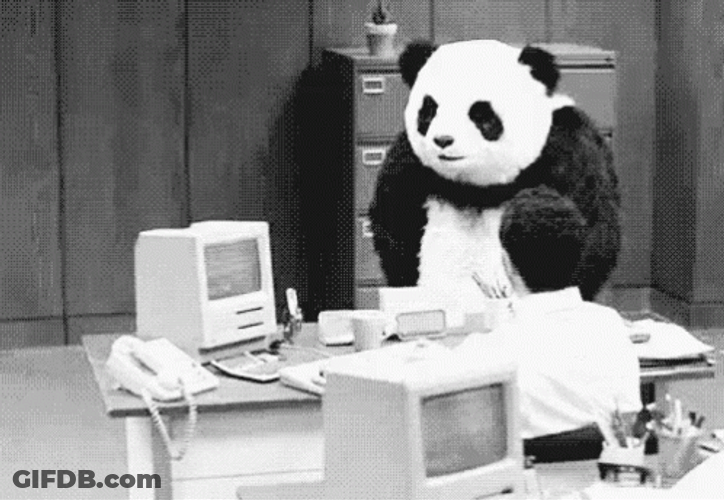 Panda Go Wild And Break Computer GIF