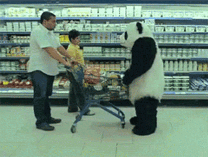 Panda Grocery Cart Rage GIF