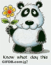 Panda Holding Flower Saying Know What Day This Is GIF