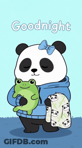 Panda Holding Frog And Goodnight Blanket GIF