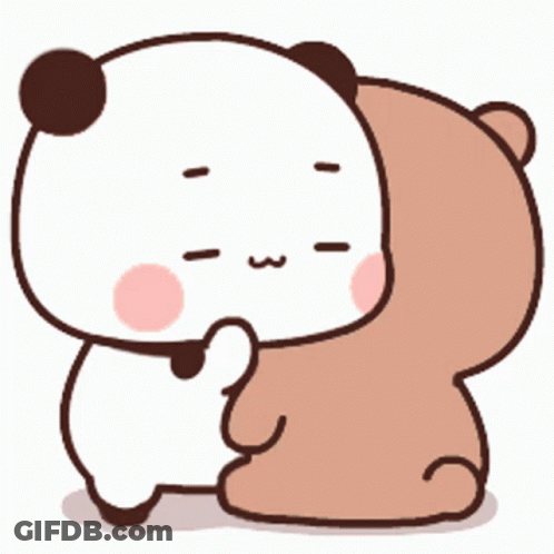 Panda Hugging Bear GIF
