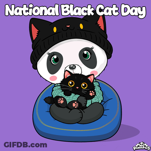 Panda In Black Hat Holding Black Kitten For National Black Cat Day GIF