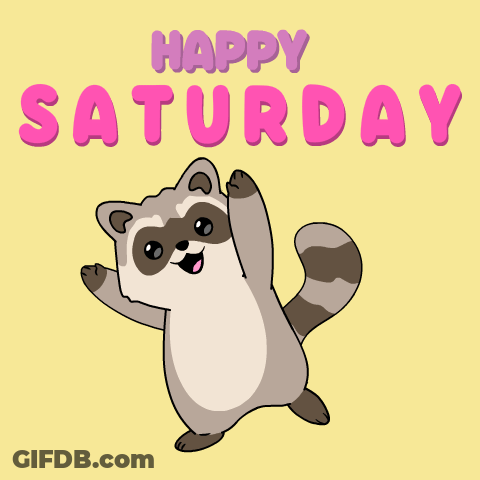 Panda In Hammock Wearing Crown Sunglasses Happy Saturday GIF