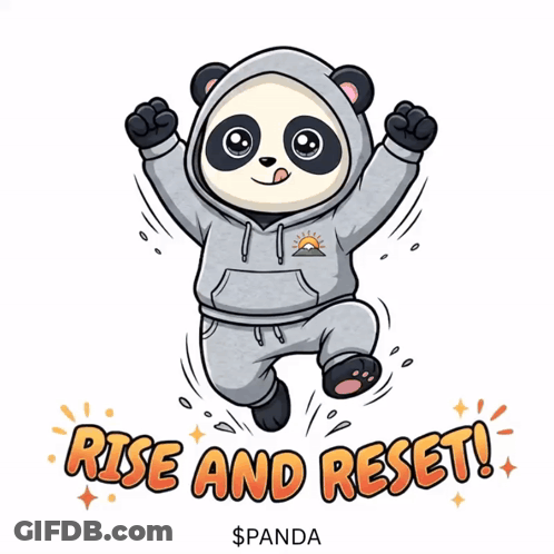 Panda In Hoodie Saying Rise And Reset GIF