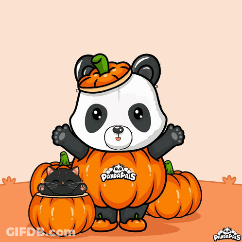 Panda In Pumpkin Costume Surrounded By Pumpkins And Black Cat GIF
