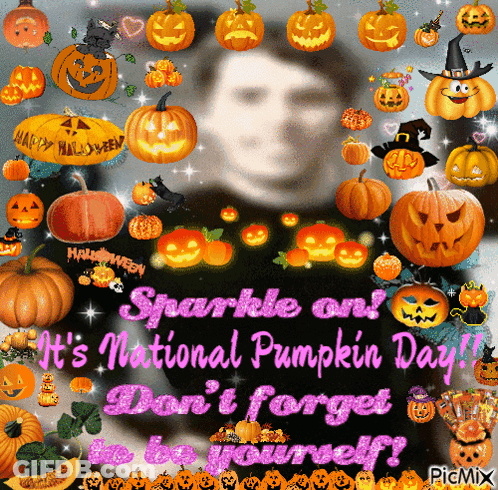 Panda In Pumpkin Costume With Pumpkins And Black Cat GIF