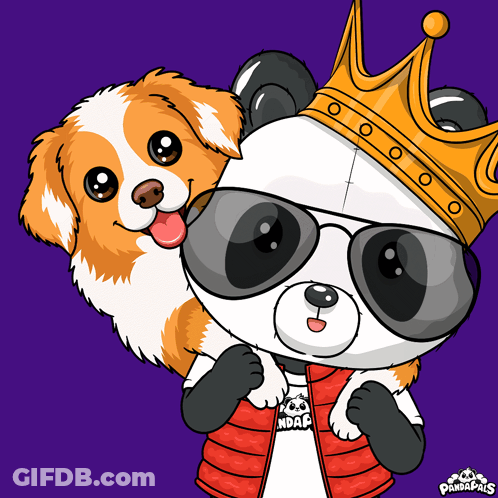 Panda In Sunglasses And Crown Holding Dog GIF