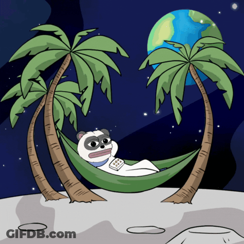 Panda Laying In Hammock Between Palm Trees GIF