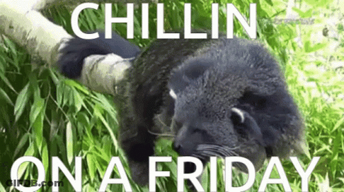 Panda Laying On Tree Branch Chillin On A Friday GIF
