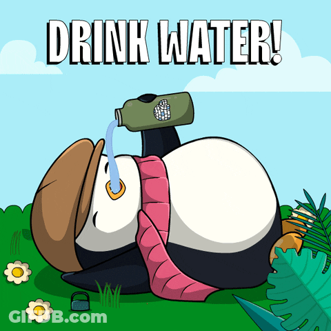 Panda Lying On Grass Drinking Water GIF