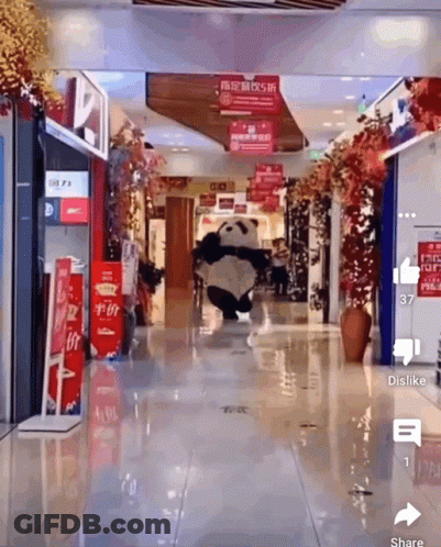 Panda Mascot Walking In Shopping Center GIF