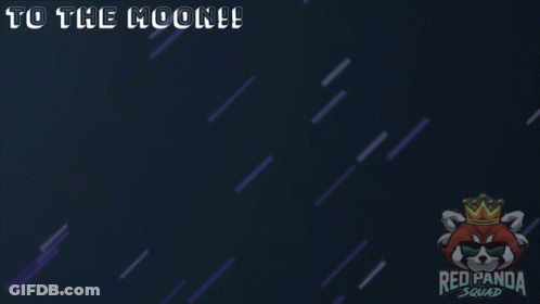 Panda On Rocket To The Moon GIF