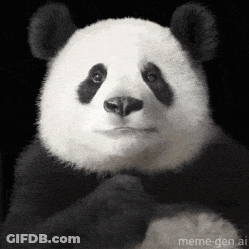 Panda Panda Love GIF