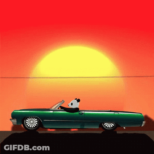 Panda Ride In Lowrider GIF