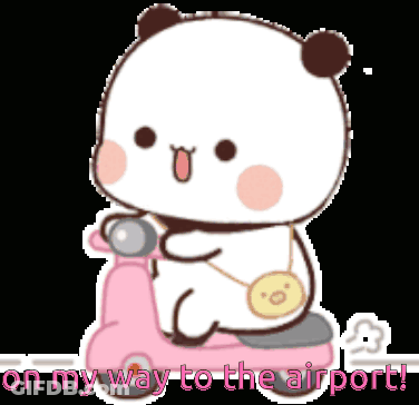Panda Riding Pink Scooter On My Way To The Airport GIF