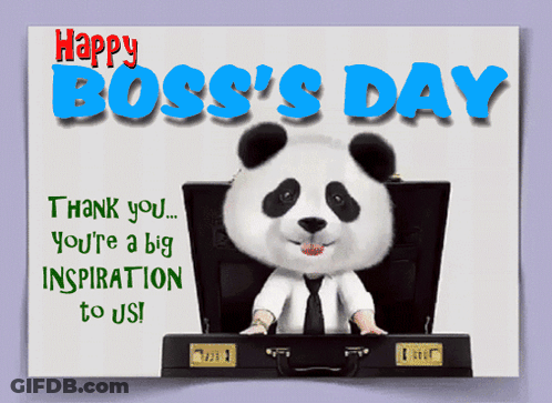 Panda Sitting In Suitcase Happy Boss's Day GIF