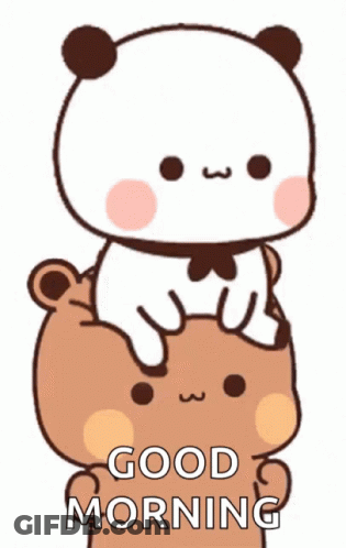 Panda Sitting On Brown Bear Good Morning GIF