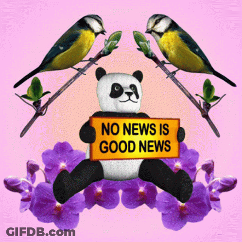Panda With No News Is Good News Sign GIF
