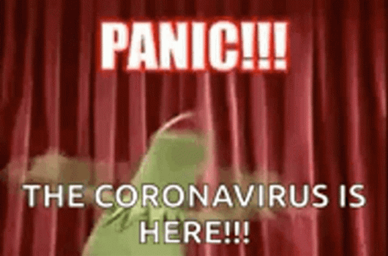 Panic Kermit Frog Covid Meme GIF