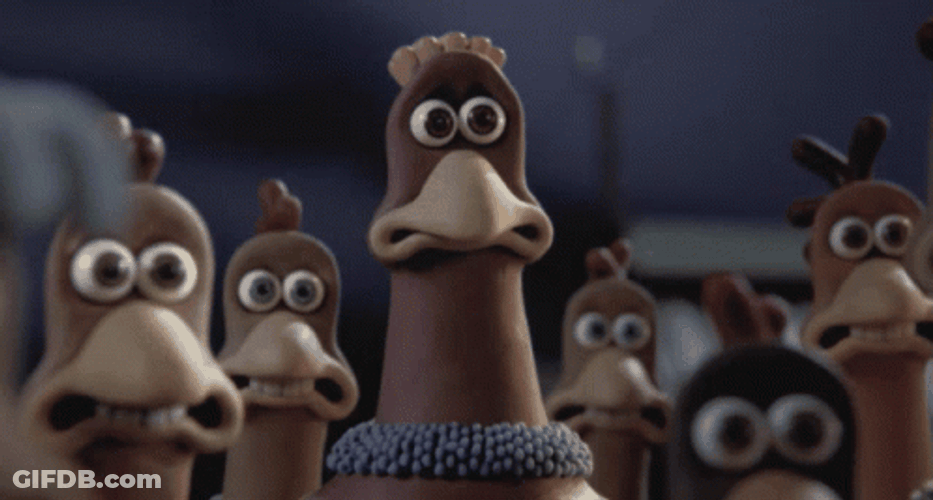 Panicking Chickens Trying To Stay Calm GIF