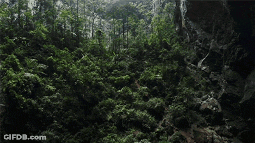 Panoramic Shot Jungle Goblin Cave GIF