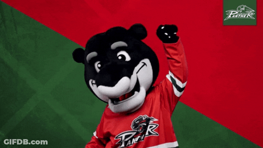 Panther Hockey Mascot Winner Reaction GIF