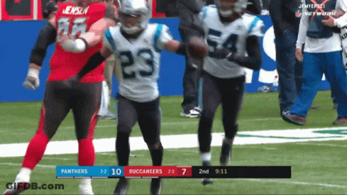 Panthers And Buccaneers Are Playing In A Game GIF