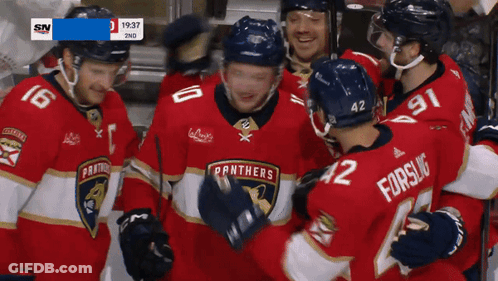 Panthers Hockey Players Celebrating GIF