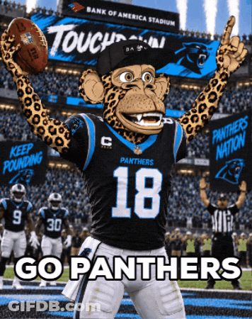 Panthers Mascot Holding Football GIF